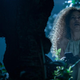 Tawny Cypress stars in Yellowjackets